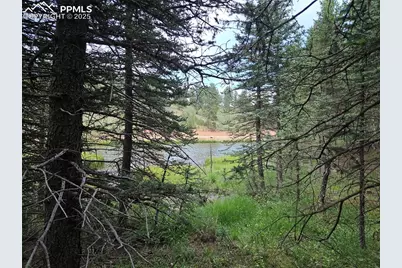 702 Lake Drive, Divide, CO 80814 - Photo 29