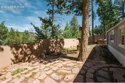 196 Summer Haven Drive, Woodland Park, CO 80863 - Photo 23