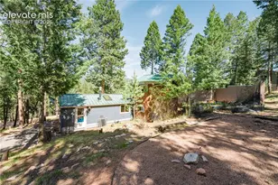 196 Summer Haven Dr, Woodland Park, CO 80863 - Photo 21