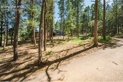 196 Summer Haven Drive, Woodland Park, CO 80863 - Photo 15
