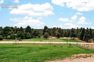 22991 Deer Trail, Elbert, CO 80106 - Photo 47