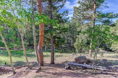 4 Honeysuckle Road, Woodland Park, CO 80863 - Photo 23
