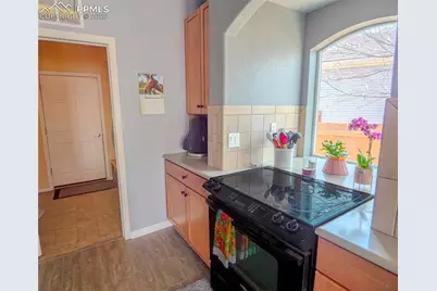 7528 Short Grass Court, Colorado Springs, CO 80915 - Photo 9