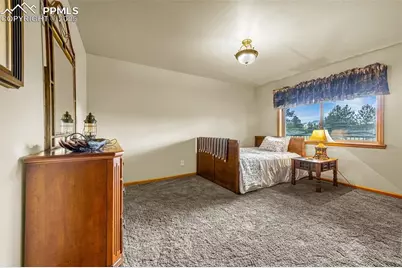 143 Ring Road, Guffey, CO 80820 - Photo 19