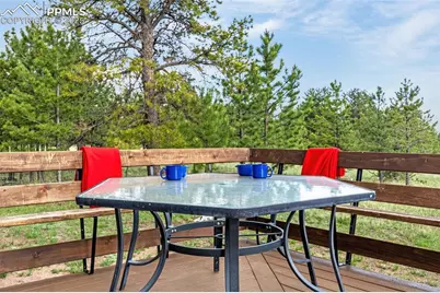 143 Ring Road, Guffey, CO 80820 - Photo 31