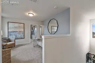 8562 Blue Feather Loop, Colorado Springs, CO 80908 - Photo 27