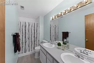 925 Wuthering Heights Dr, Colorado Springs, CO 80921 - Photo 39