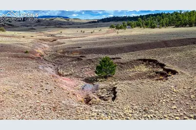 L 15 &amp; 16 Chickadee Drive, Hartsel, CO 80449 - Photo 23