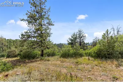 771 Moffat Drive, Cripple Creek, CO 80813 - Photo 31