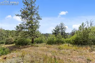 771 Moffat Dr, Cripple Creek, CO 80813 - Photo 31