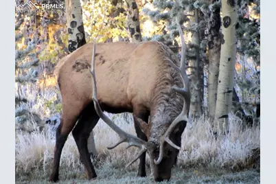 155 Squilchuk Trail, Woodland Park, CO 80863 - Photo 23