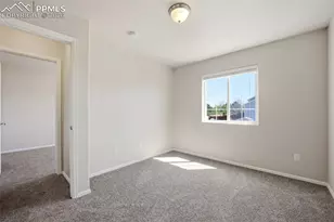 3019 Shikra View, Colorado Springs, CO 80916 - Photo 27
