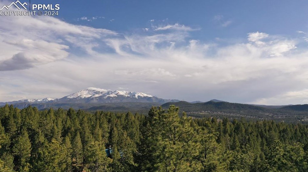 2720 Sunnywood Ave, Woodland Park CO 80863-9401 exterior