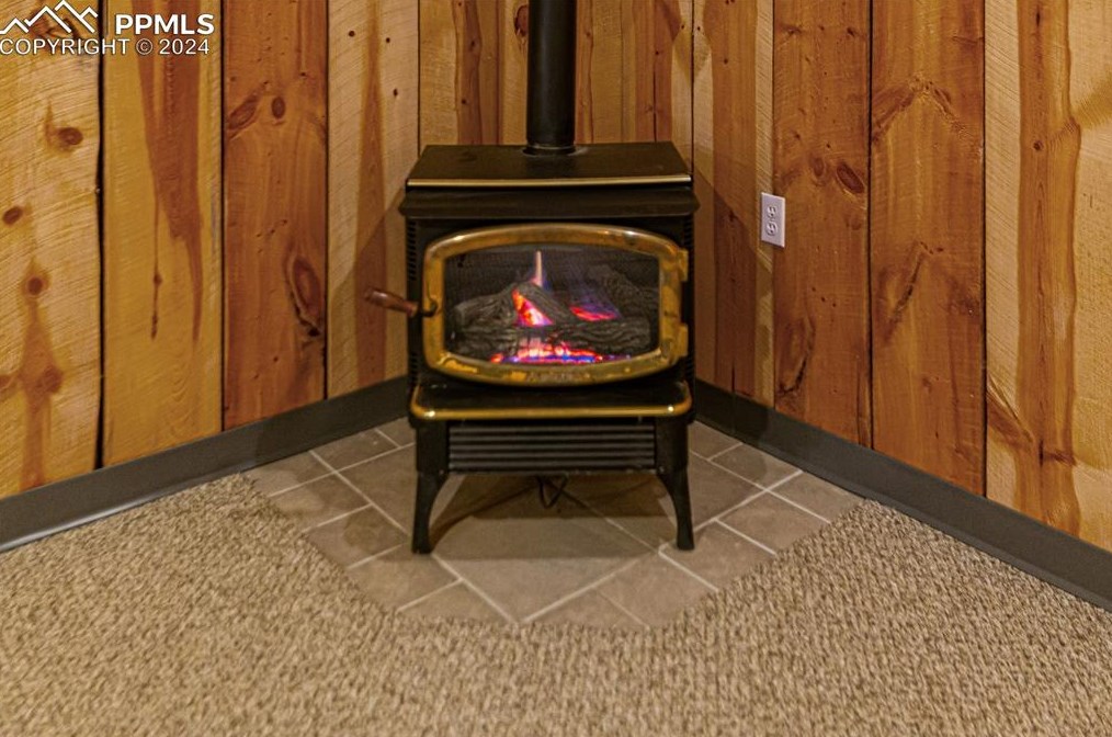 2720 Sunnywood Ave, Woodland Park CO 80863-9401 exterior