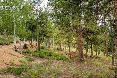 266 Aspen Ridge Road, Manitou Springs, CO 80829 - Photo 19