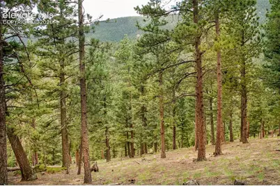 266 Aspen Ridge Road, Manitou Springs, CO 80829 - Photo 15