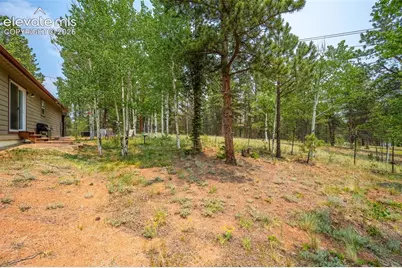 156 Fossil Creek Road, Florissant, CO 80816 - Photo 39
