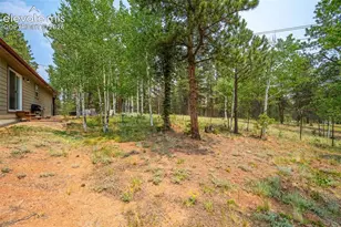 156 Fossil Creek Rd, Florissant, CO 80816 - Photo 39