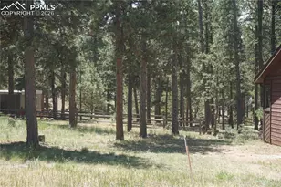 725 Sunnywood Loop, Woodland Park, CO 80863 - Photo 27