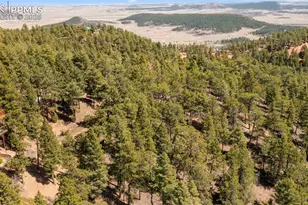 2255 Elk Park Rd, Larkspur, CO 80118 - Photo 1