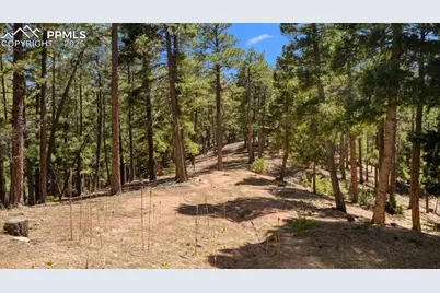 2255 Elk Park Road, Larkspur, CO 80118 - Photo 3