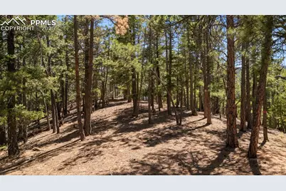 2255 Elk Park Road, Larkspur, CO 80118 - Photo 5