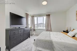 9276 Glitter Wy, Colorado Springs, CO 80924 - Photo 15