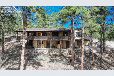 435 Phyllis Drive, Florissant, CO 80816 - Photo 41