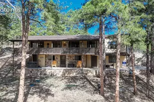 435 Phyllis Dr, Florissant, CO 80816 - Photo 41