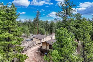 435 Phyllis Dr, Florissant, CO 80816 - Photo 43