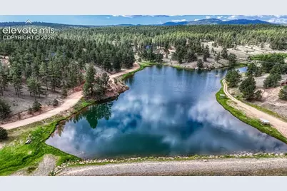 435 Phyllis Drive, Florissant, CO 80816 - Photo 35