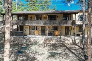 435 Phyllis Dr, Florissant, CO 80816 - Photo 45