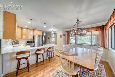 435 Phyllis Drive, Florissant, CO 80816 - Photo 23