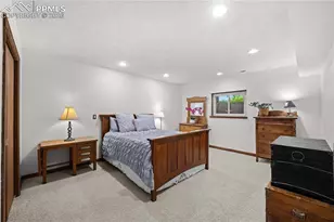 17815 Saddlewood Rd, Monument, CO 80132 - Photo 29