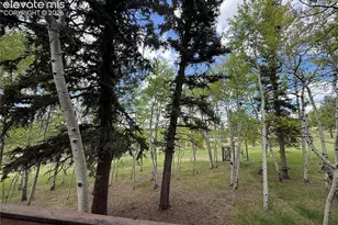 741 Elfin Glen Dr, Divide, CO 80814 - Photo 33