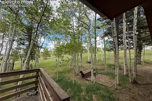 741 Elfin Glen Dr, Divide, CO 80814 - Photo 35