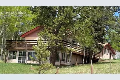 741 Elfin Glen Drive, Divide, CO 80814 - Photo 47