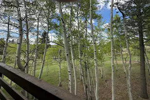 741 Elfin Glen Dr, Divide, CO 80814 - Photo 33