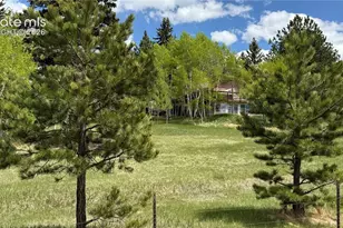 741 Elfin Glen Dr, Divide, CO 80814 - Photo 37