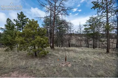 144 Chapparal Trail, Florissant, CO 80816 - Photo 1