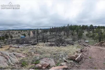 144 Chapparal Trail, Florissant, CO 80816 - Photo 5