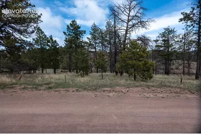 144 Chapparal Trail, Florissant, CO 80816 - Photo 3