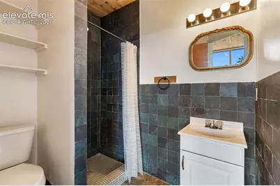 523 Navajo Trail, Florissant, CO 80816 - Photo 7