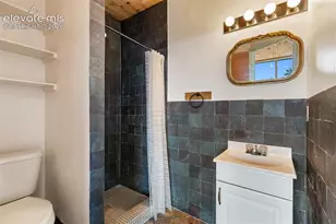 523 Navajo Trail, Florissant, CO 80816 - Photo 7