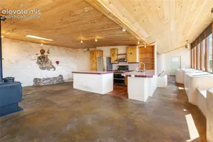 523 Navajo Trail, Florissant, CO 80816 - Photo 9