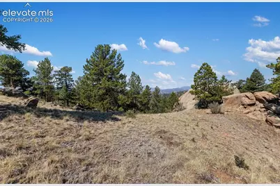 523 Navajo Trail, Florissant, CO 80816 - Photo 35
