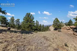 523 Navajo Trail, Florissant, CO 80816 - Photo 35