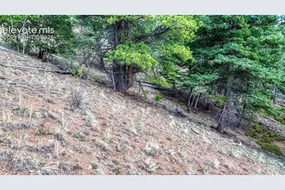 783 Bennett Drive, Cripple Creek, CO 80813 - Photo 15