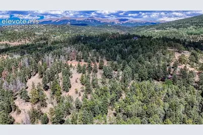 783 Bennett Drive, Cripple Creek, CO 80813 - Photo 9