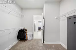 6680 Rolling Creek Dr, Colorado Springs, CO 80924 - Photo 23